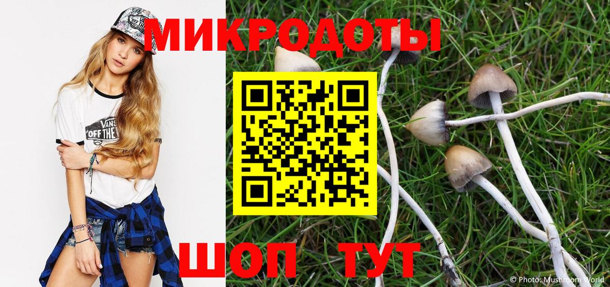 Галлюциногенные грибы мицелий Ессентуки