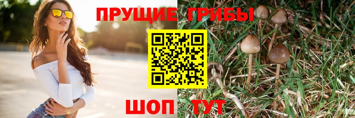 Ессентуки  Галлюциногенные грибы мухоморы  наркошоп  Вход с VPN  Псилоцибиновые грибы мухоморы 